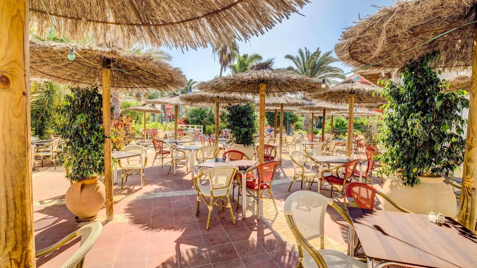 ****  Sbh Fuerteventura Playa (Adults Only) Hotel Costa Calma Spain